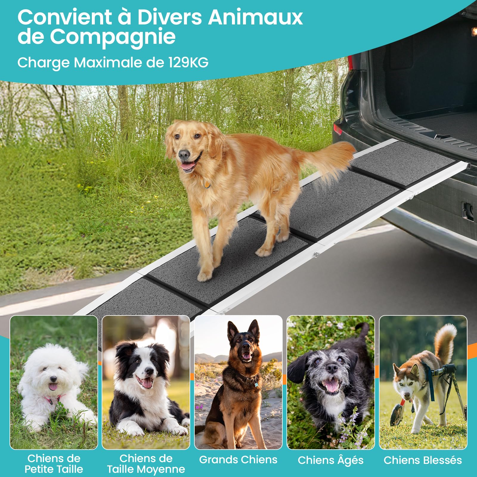 DAISTERN de BSWAY Rampe pour Chien Voiture Pliable 180cm x 50cm, Rampe d'Accès Escalier Extérieur avec Tapis Antidérapant, Cadre en Métal Aluminium Revêtu de Poudre Capacité de Charge jusqu'à 129KG