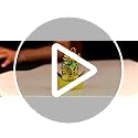 Image of ZAICUS Golden Waving Cat Figurine on Money Ingots | Feng Shui Symbol for Good Luck, Wealth, Prosperity, and Health | Decorative Cat Statue for Home & Office