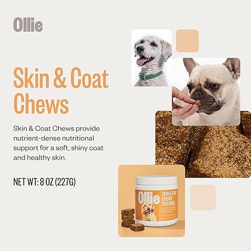 Miniatura 8 de Ollie Belly Rubs Dog Probiotic Chews - Probióticos para perros - Alivio del malestar estomacal del perro - Probióticos para perros Salud digestiva -