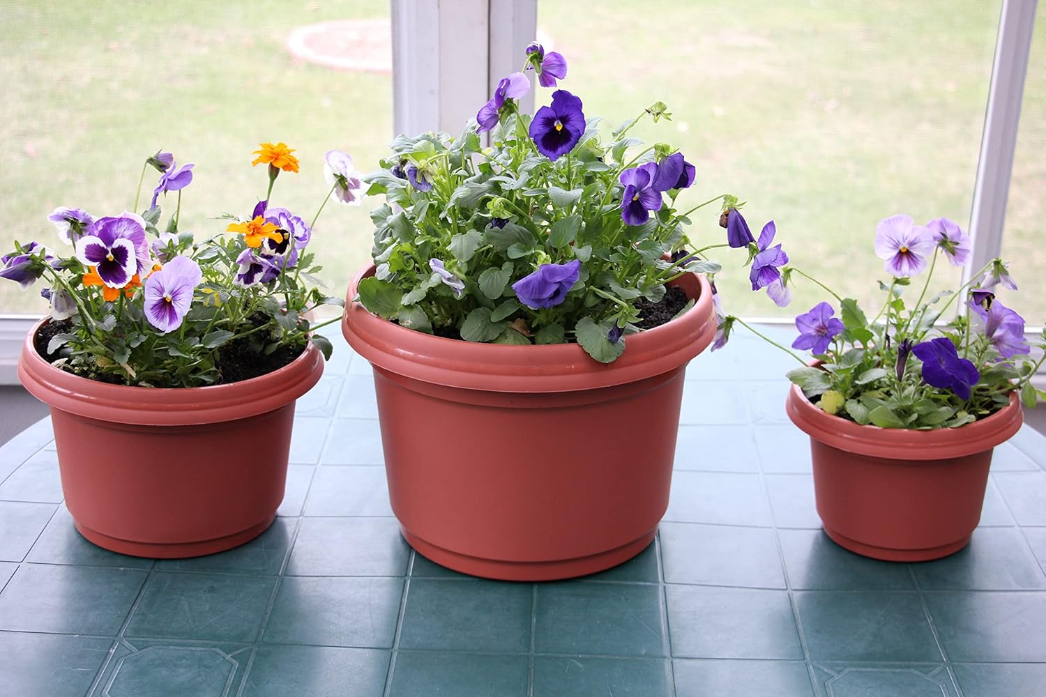 Flower Pot and Saucer, 12 Inch Terra Cotta Colored Case of 5 Round Plant Container for Indoor and Outdoor