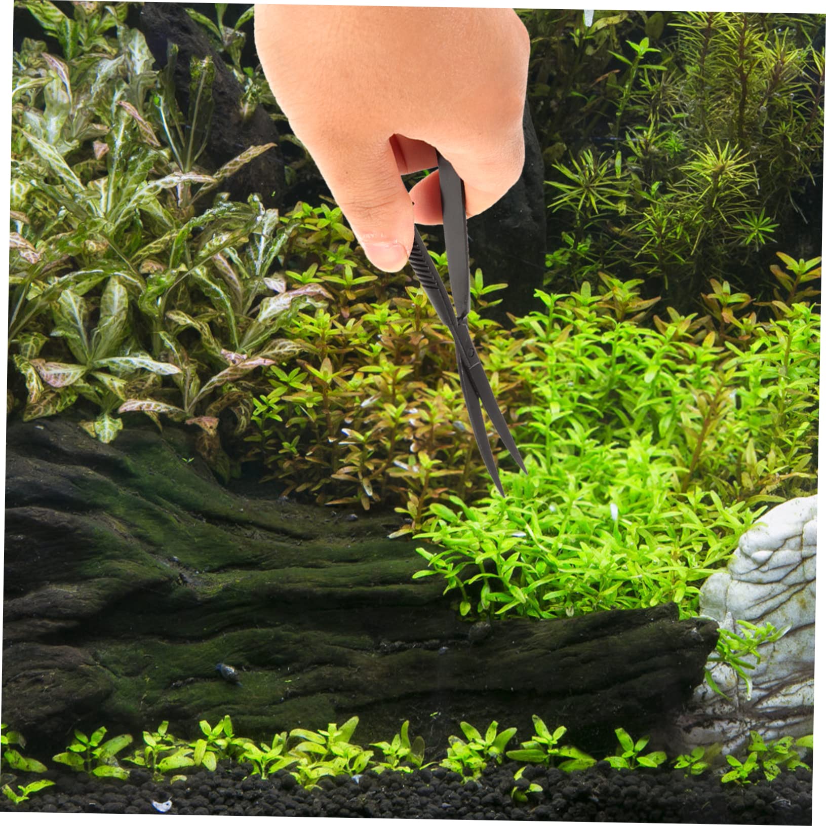 Happyyami 3stücke Edelstahl Aquarium Pflanzen Trimmer Praktische Wasserpflanzen Schere Für Präzises Trimmen Von Aquarienpflanzen Einfach Der Handhabung Für Aquascaping Und Pflege Von