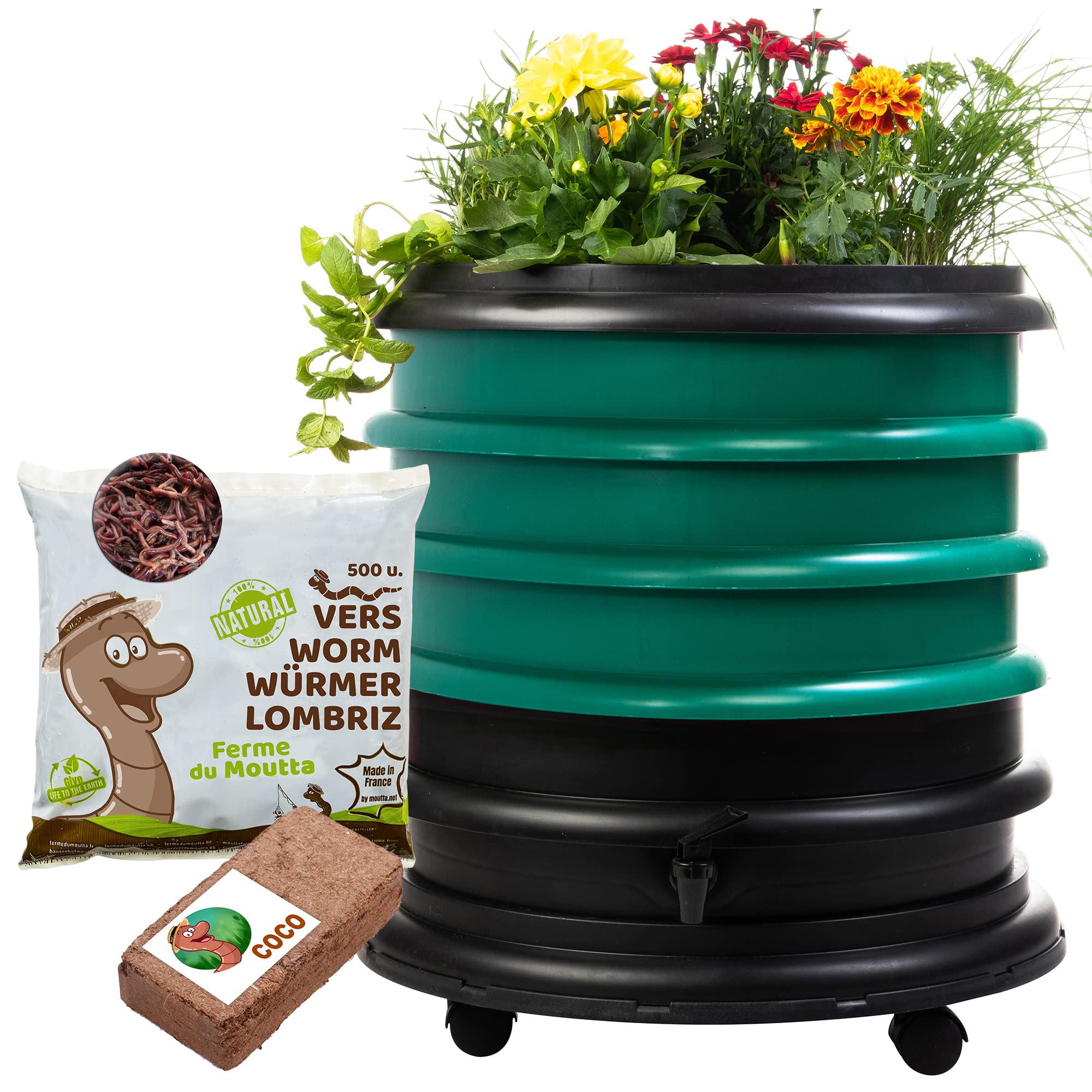 WORMbox | Wormery Worm Farm composter 3 Dark green Trays + Planter + 250gr of Compost Worms / 500 ctn + 1 Coco + 1 Coco | 48 liters | Organic Waste Compost, make your Worm Castings