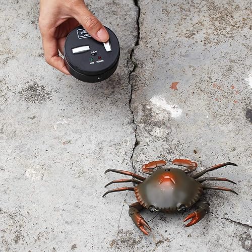 Miniatura 4 de Tipmant Juguete de animal de cangrejo a control remoto, vehículo electrónico falso insecto para niños, regalo de cumpleaños, Navidad, Halloween