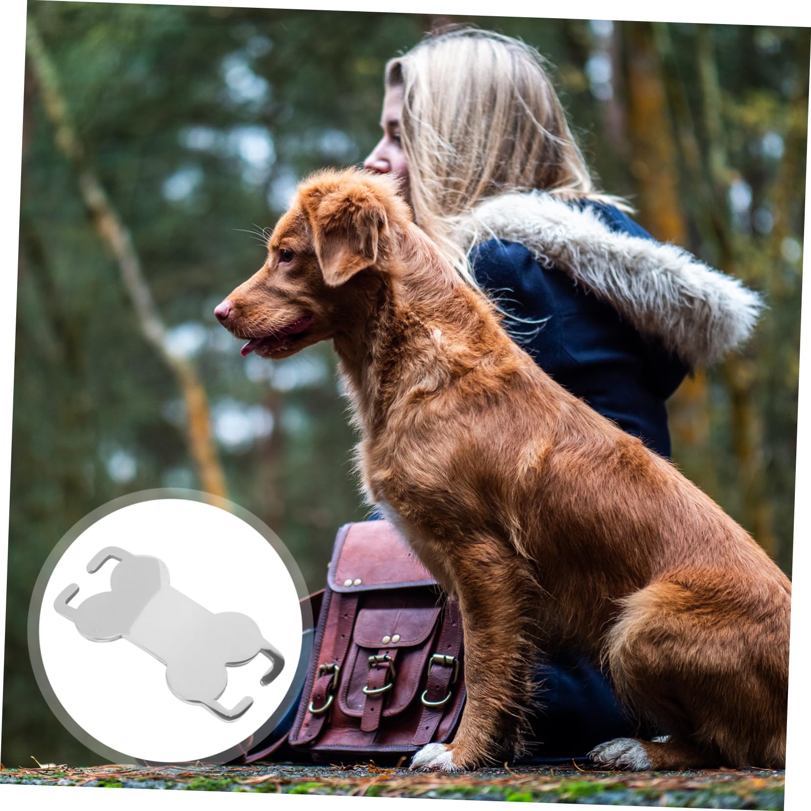 INOOMP 24pezzi Medaglietta Identificativa Per Cani Acciaio Inossidabile Da Leggera e Personalizzabile Resistente e Facile Da Incidere Tag Per Piccoli Animali Domestici