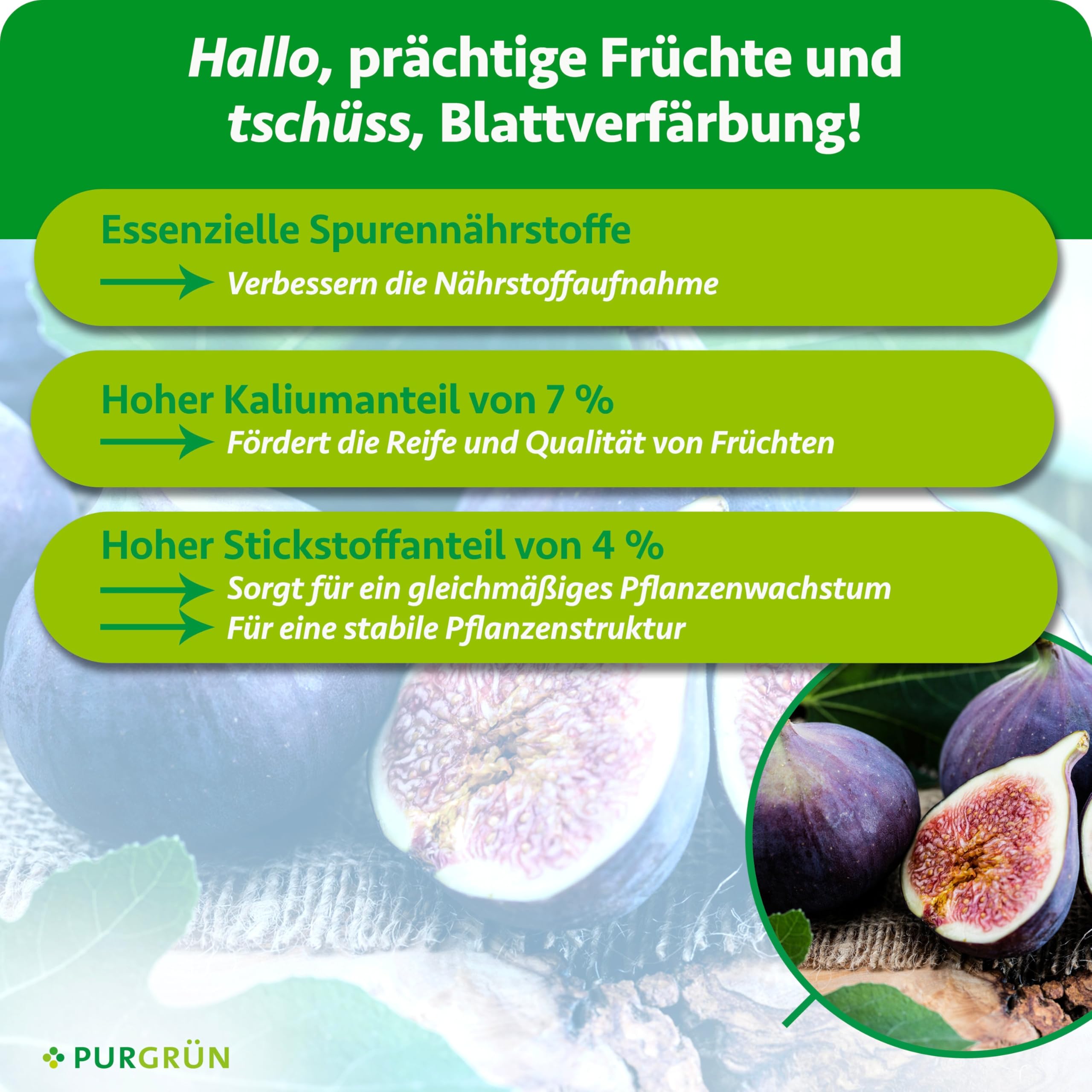 Bio-Feigendünger 1 Liter – Schnelles, gesundes Wachstum – Mit Algenextrakt & Vinasse – Extra Kalium für saftige & süße Feigen – Für den Bio-Anbau – Konzentrat für 100 Liter Gießwasser