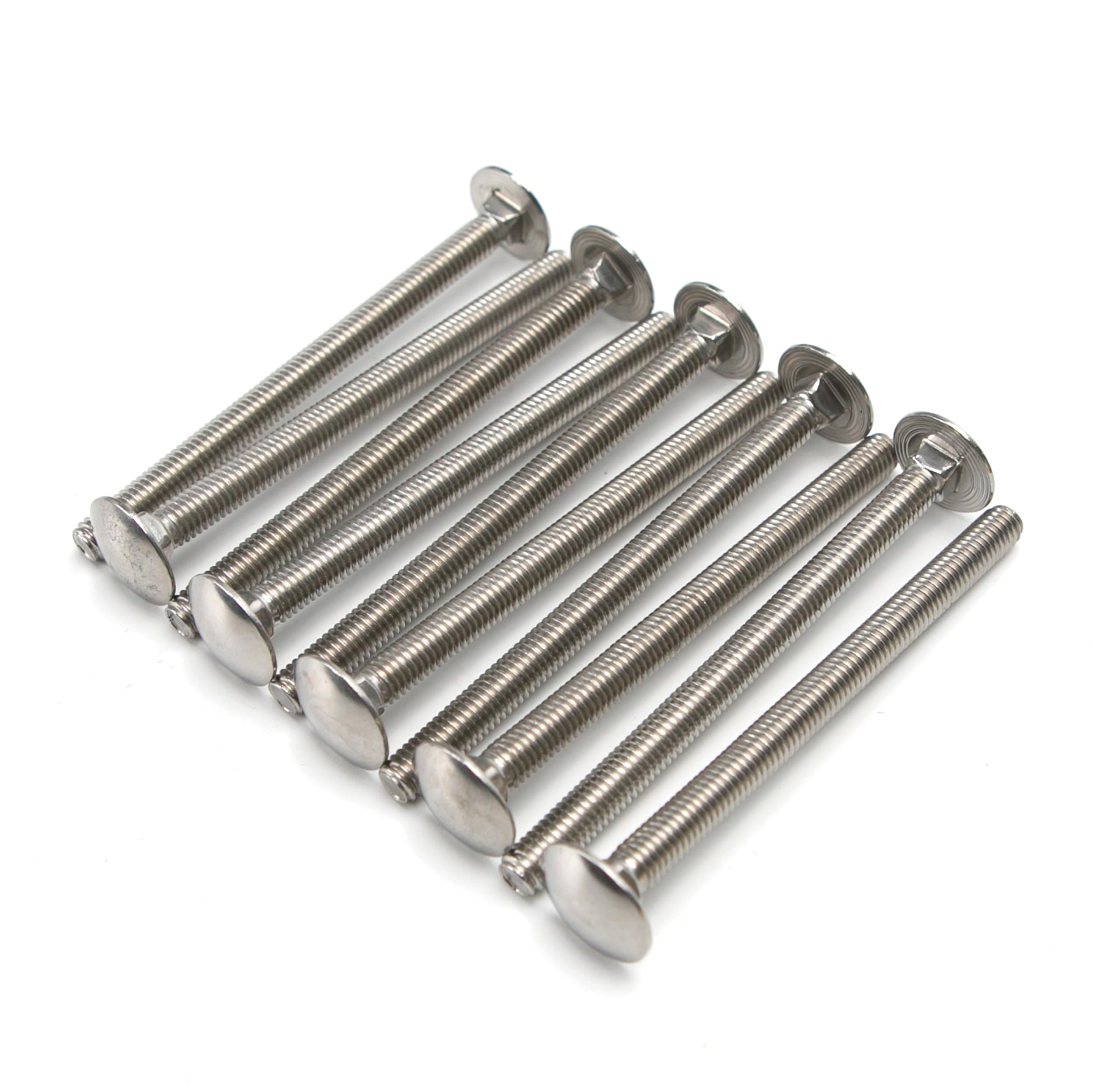 M6 Stainless Steel Carriage Bolts - 10 Pack -5
