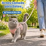 Ver la foto 5