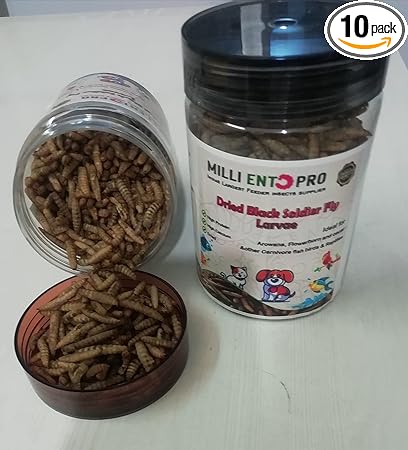 Milli Whole Dried Black Soldier Fly Larvae Treat - Food for Arowana, Flowerhorn, Oscar and Other Carnivorous Fish - High Protein and 50x More Calcium Than Mealworm (50 g)