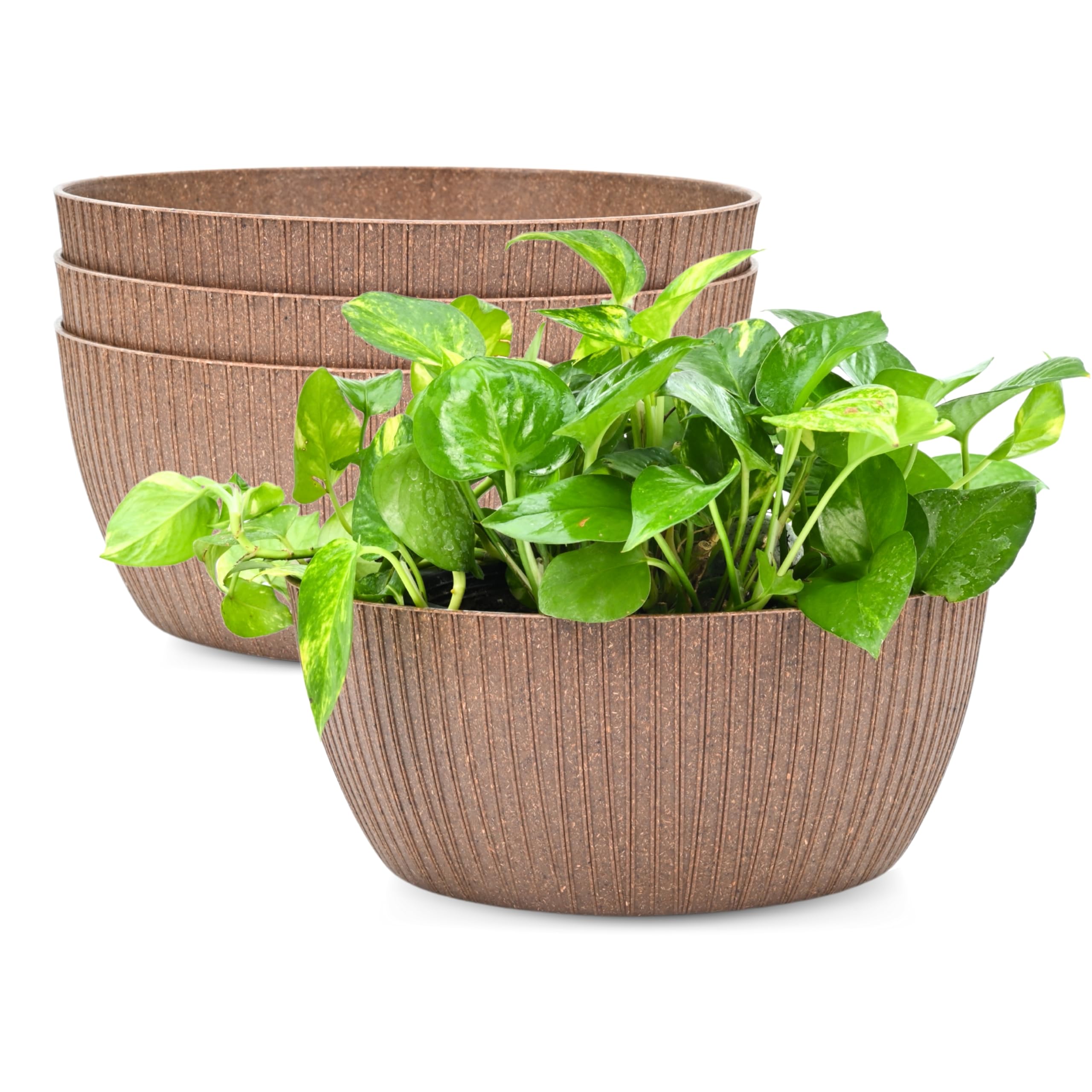 See full amazon price history chart for Eha Earth Friendly NatureNest 12 inch Pots for Plants | Bonsai Pots | Set of 4 | Bamboo Based, UV Protected Planters for Living Room | Plant Pots for Home Decor, Indoor & Outdoor | Tortilla Eha Earth Friendly NatureNest 12 inch Pots for Plants | Bonsai Pots | Set of 4 | Bamboo Based, UV Protected Planters for Living Room | Plant Pots for Home Decor, Indoor & Outdoor | Tortilla (B0D8YG3QW1) Amazon Price History, Amazon Price Tracker