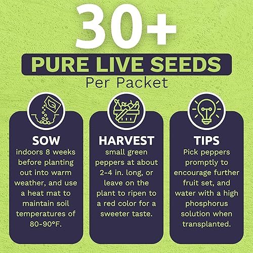 Miniatura 4 de Semillas de pimiento shishito orgánico, dos paquetes de semillas, aproximadamente 25 semillas polinizadas abiertas sin OMG por paquete (50 en total)