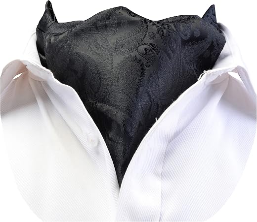 MIPPO Men's Ascot Paisley Floral Jacquard Woven Gift Cravat Tie