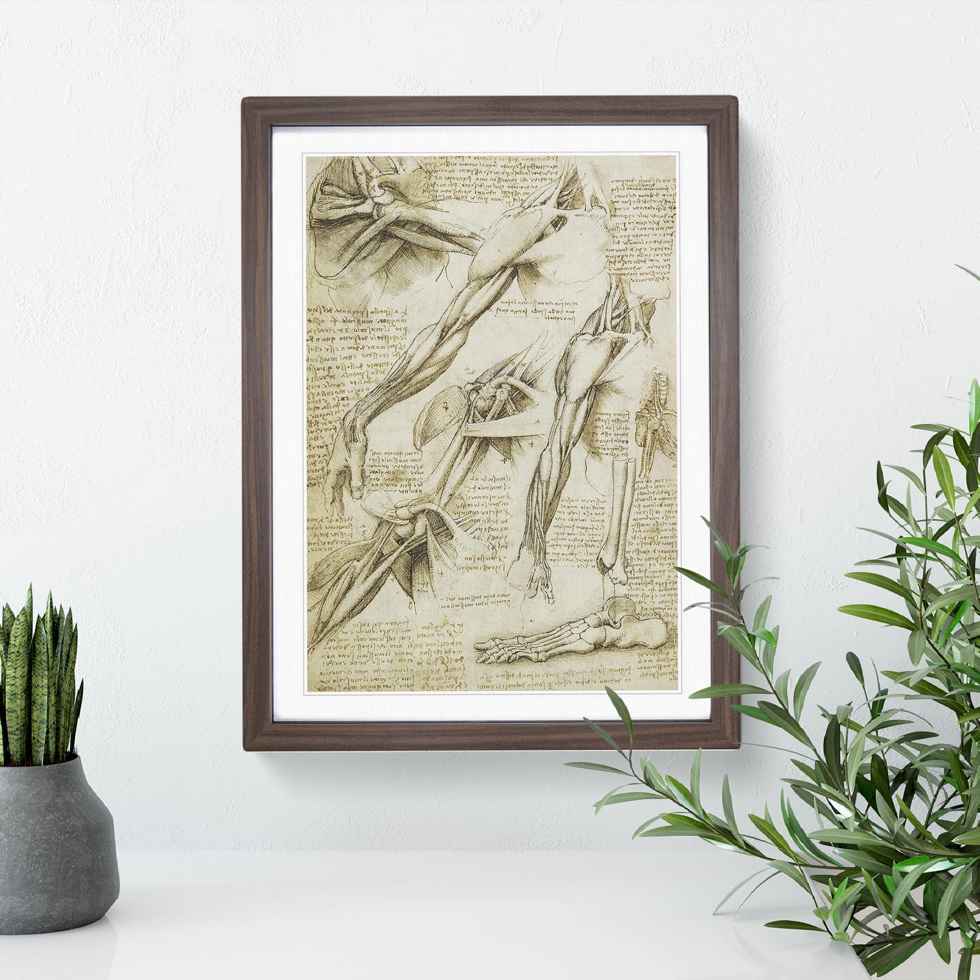 Human Anatomy Vol.1 By Leonardo Da Vinci Classic Painting Framed Wall Art Print - Image 2