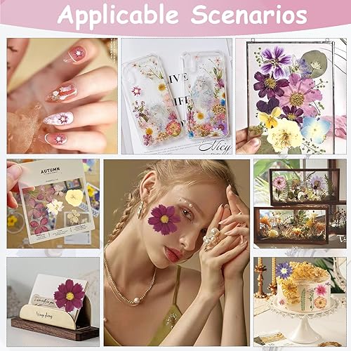 Vista 26 de 104 flores secas prensadas naturales de resina, flores secas para accesorios de resina, flores secas para álbumes de recortes, manualidades, moldes