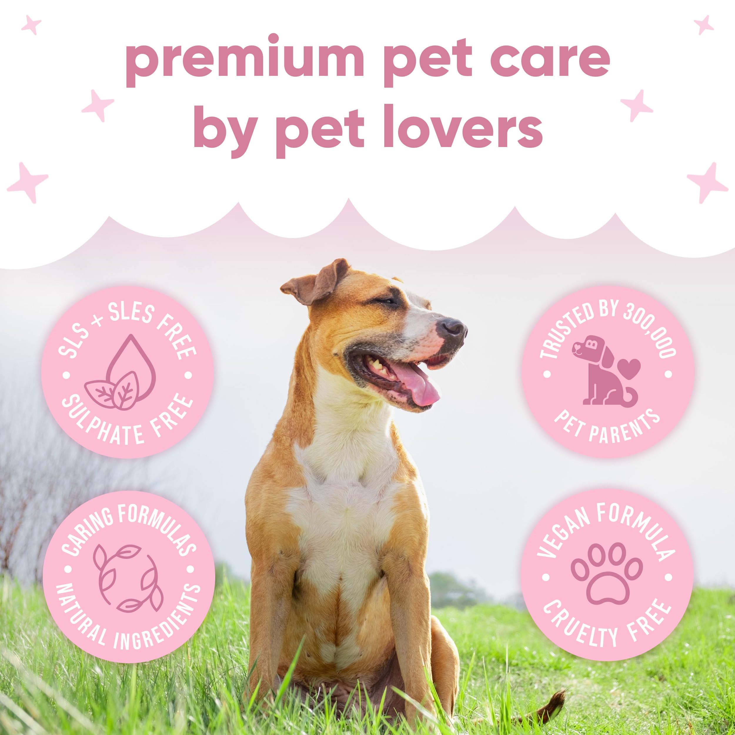 Buddycare Bezwodny, suchy szampon dla psów (200 ml) | świeży szampon dla psów dla wrażliwej skóry | naturalny, łatwy w użyciu suchy szampon do czystego, świeżego sierści