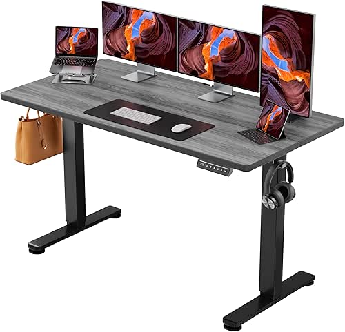ErGear Height Adjustable Electric Standing Desk, 55 x 28 Inches