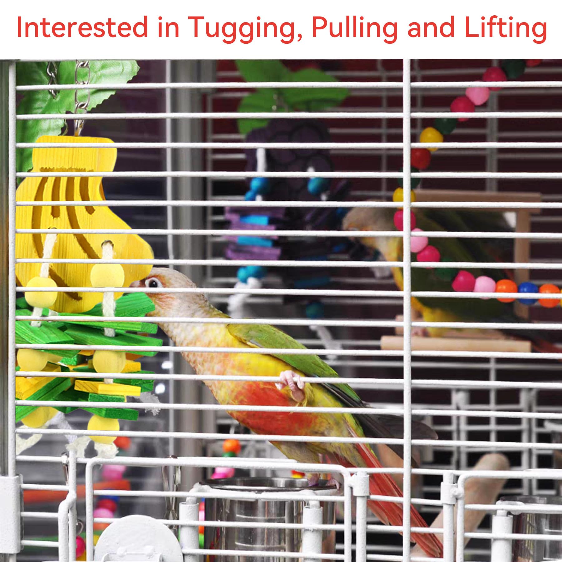 JSLZF Bird Chewing Toy for Parrot Cockatiel Conure Wood Block Cage Hanging Foraging Budgie Bite Toy for Parakeet Small (4PCS Fruit Shape) - image 5