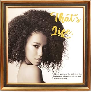 Kenko 504666 PS-LP-GD Interior Frame for LP Record Jackets, Gold, Compatible with 12-inch LP Boards up to 12.5 inches x 12.5 inches 316 mm x 316 mm, Glass Surface Material, Stand Included, Made in