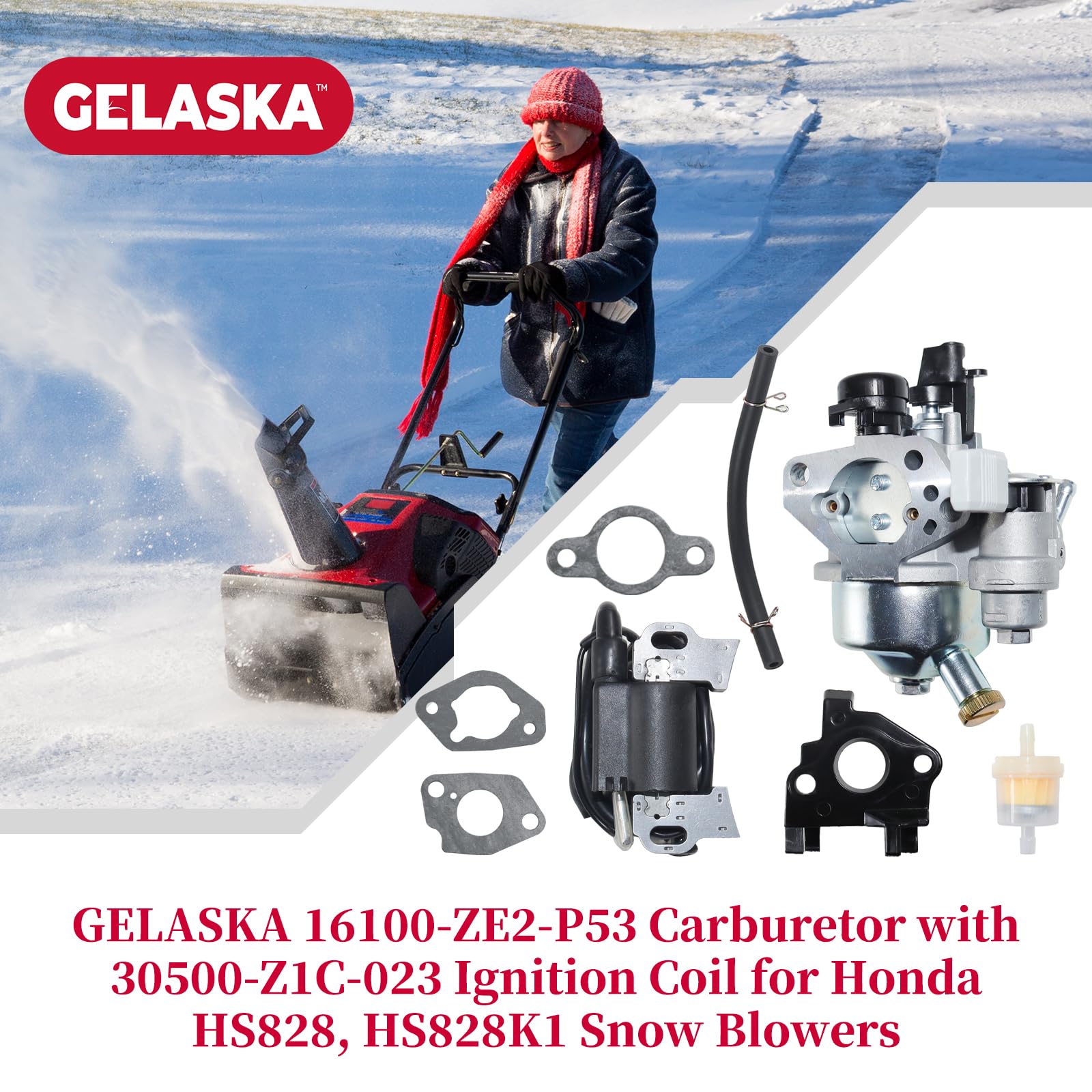 Amazon.co.jp: GELASKA 16100-ZE2-P53 キャブレター 30500-Z1C-023