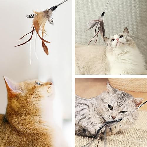 Miniatura 5 de SONGWAY Juguete de varita de plumas para gatos, varita de juguete para gatos con 4 recambios flexibles de plumas de resorte, juguetes interactivos