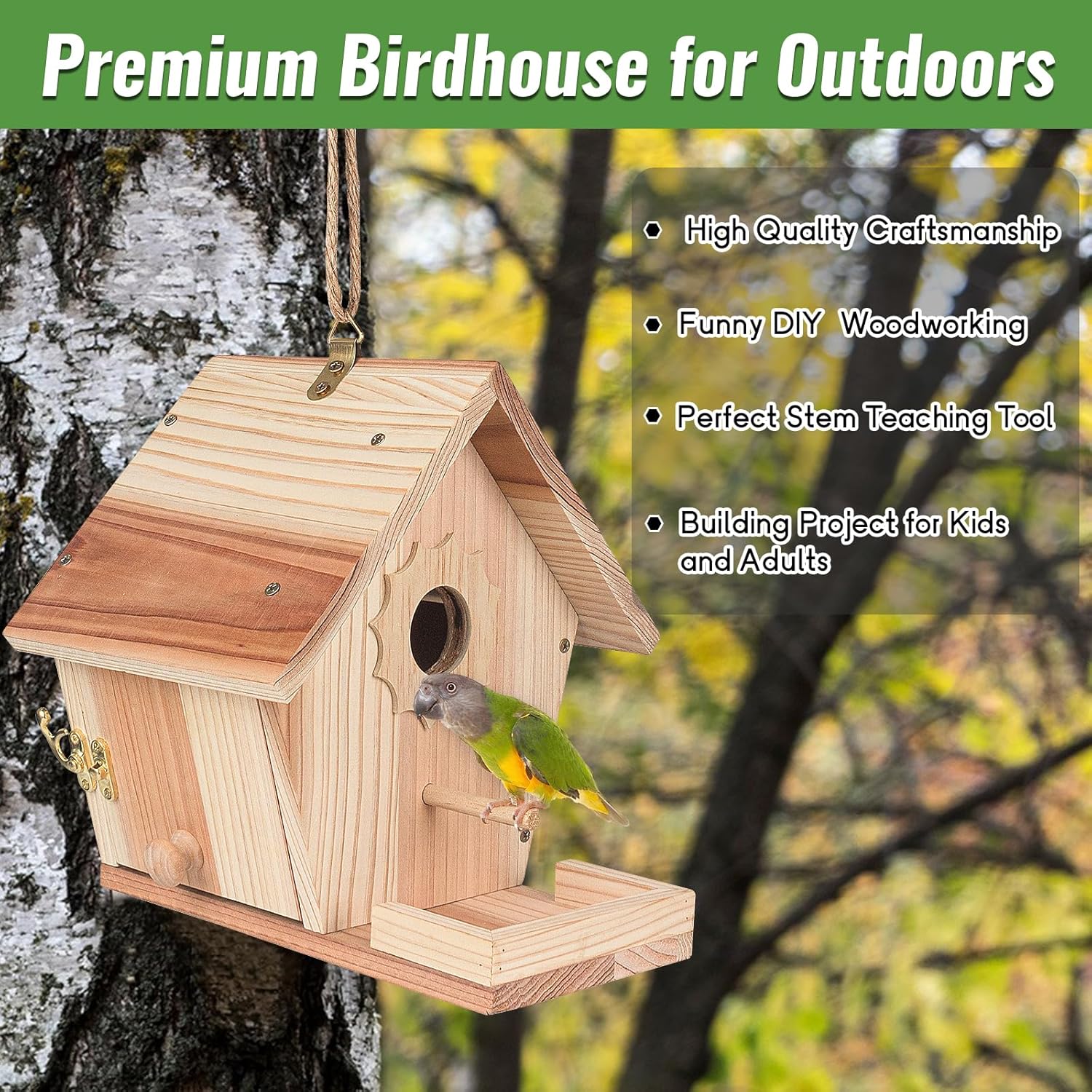 Bird Houses for Outside to Build, DIY Birdhouse Kit with Paint Set, Wooden Bird House with Feeder Trough, Natural Woodworking Kits for Kids and Adults Bird Nest