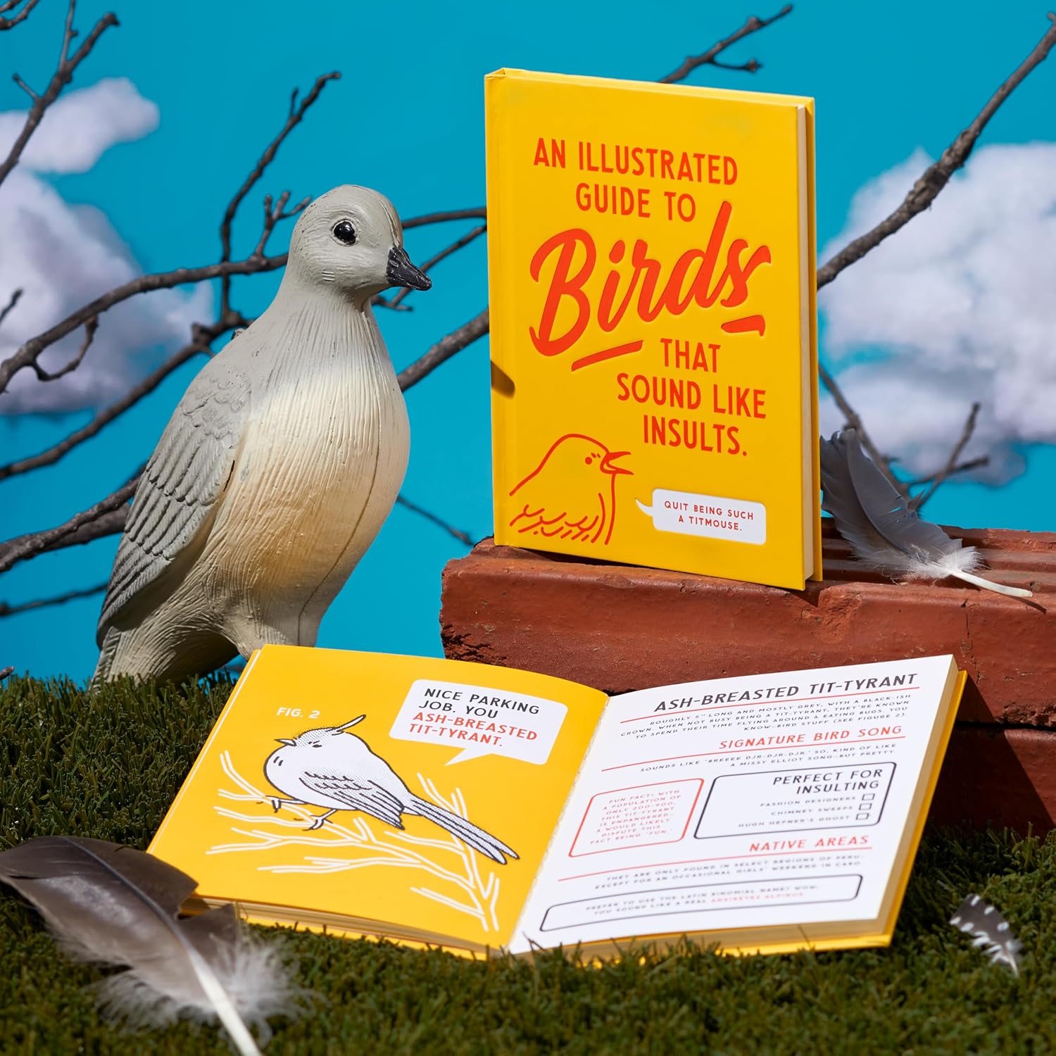 An Illustrated Guide to Birds that Sound like Insults