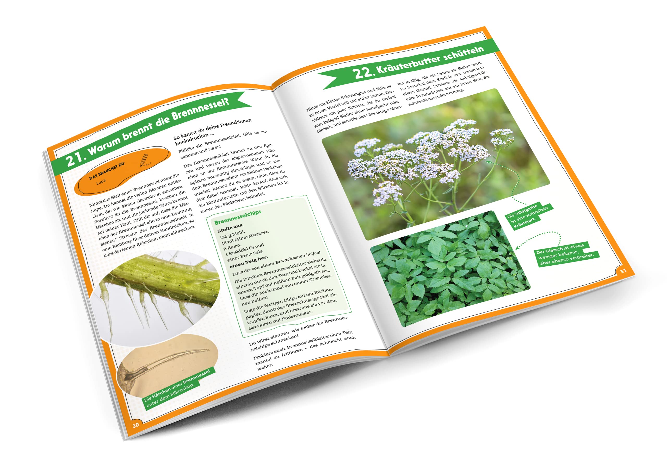 Franzis 67142 - GEOlino Natur entdecken und erforschen - Experimentierkasten mit 42 spannenden Ideen und Experimenten für Kinder ab 8 Jahren, inkl. 60-seitigem Handbuch mit Anleitungen und Zubehör