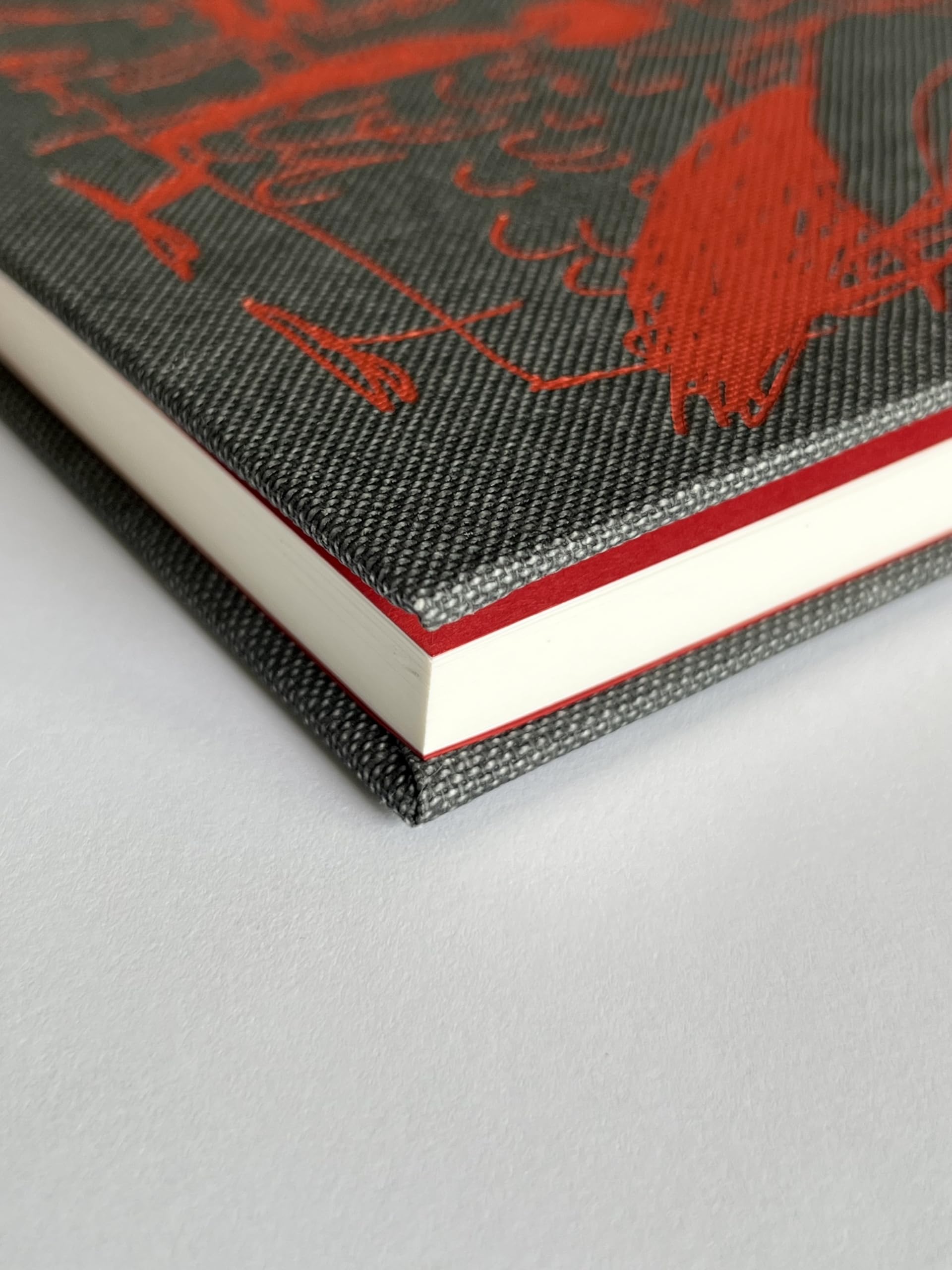 Hahnemühle Felix Scheinberger Notizbuch, Nostalgie Skizzenbuch, DIN A5 Hochformat, 190 g/m², 32 Blatt/64 Seiten