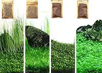 Planta de aquário 4 em 1 S.e.ds, sem planta de plástico artificial, grama viva para aquário de peixes, serve para todos os substratos (0,36 ozTiny+10.2 g Long+10.2 g Short+10.2 g Big Dual) ZQV-003