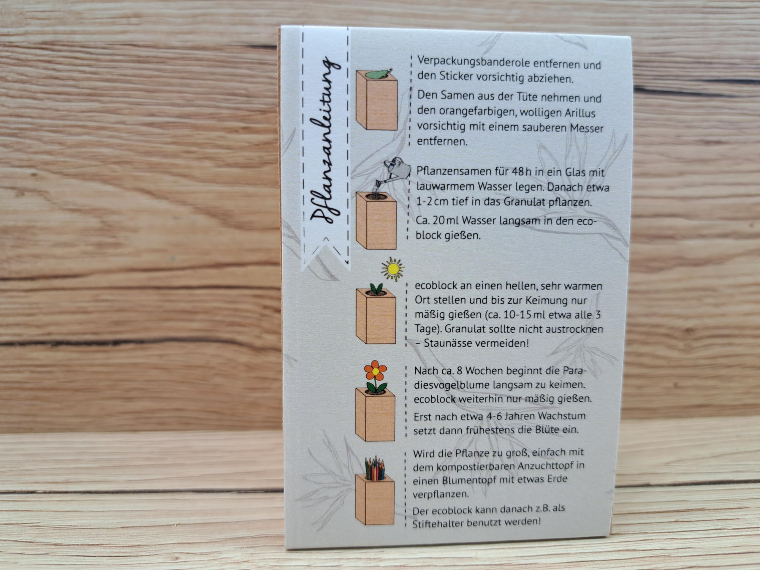 Feel Green ecoblock Rajski ptak kwiat, zrównoważony pomysł na prezent (100% przyjazny dla środowiska), Grow Your Own/zestaw do uprawy, rośliny w bloku drewnianym, wyprodukowano w Austrii