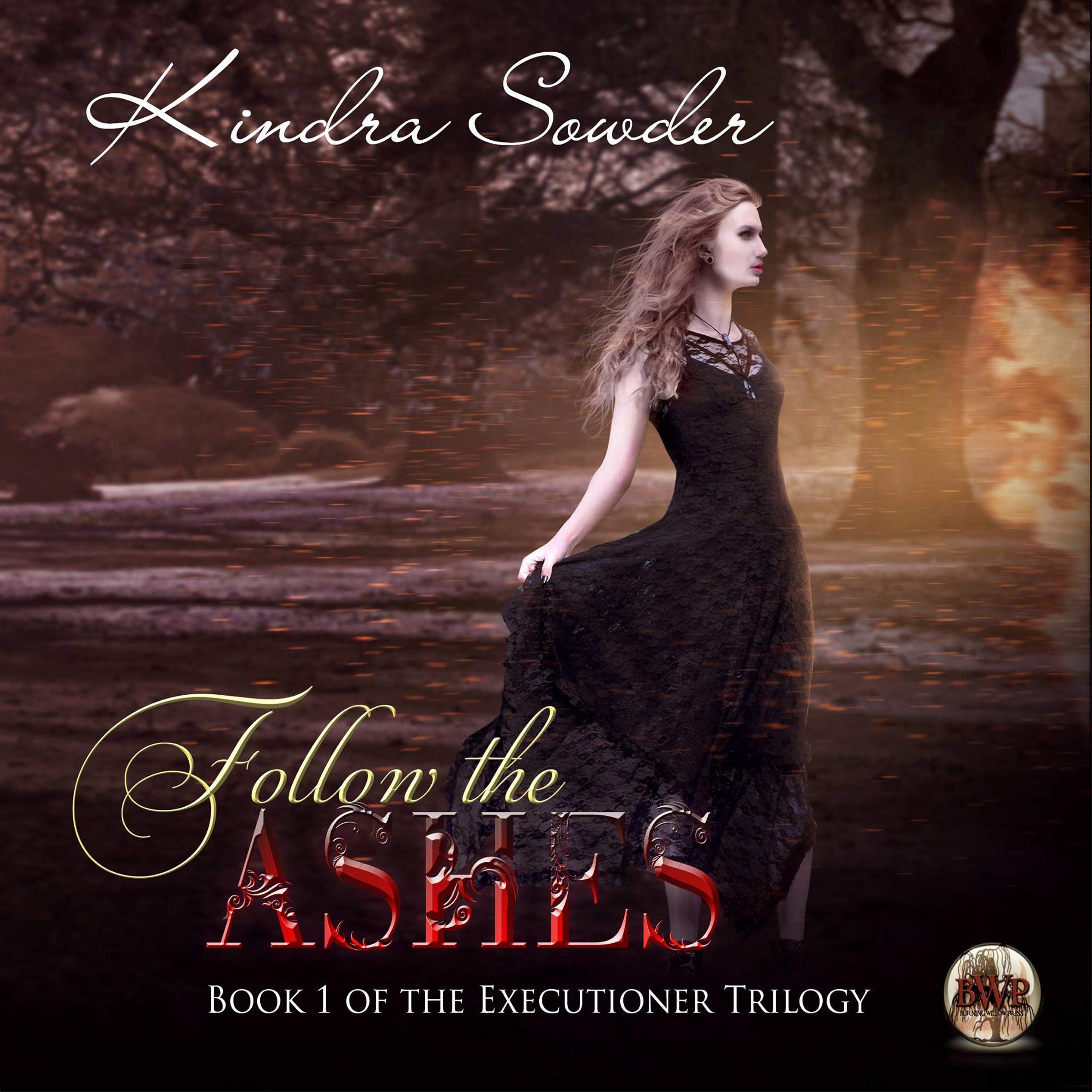 Cover art for Follow the Ashes