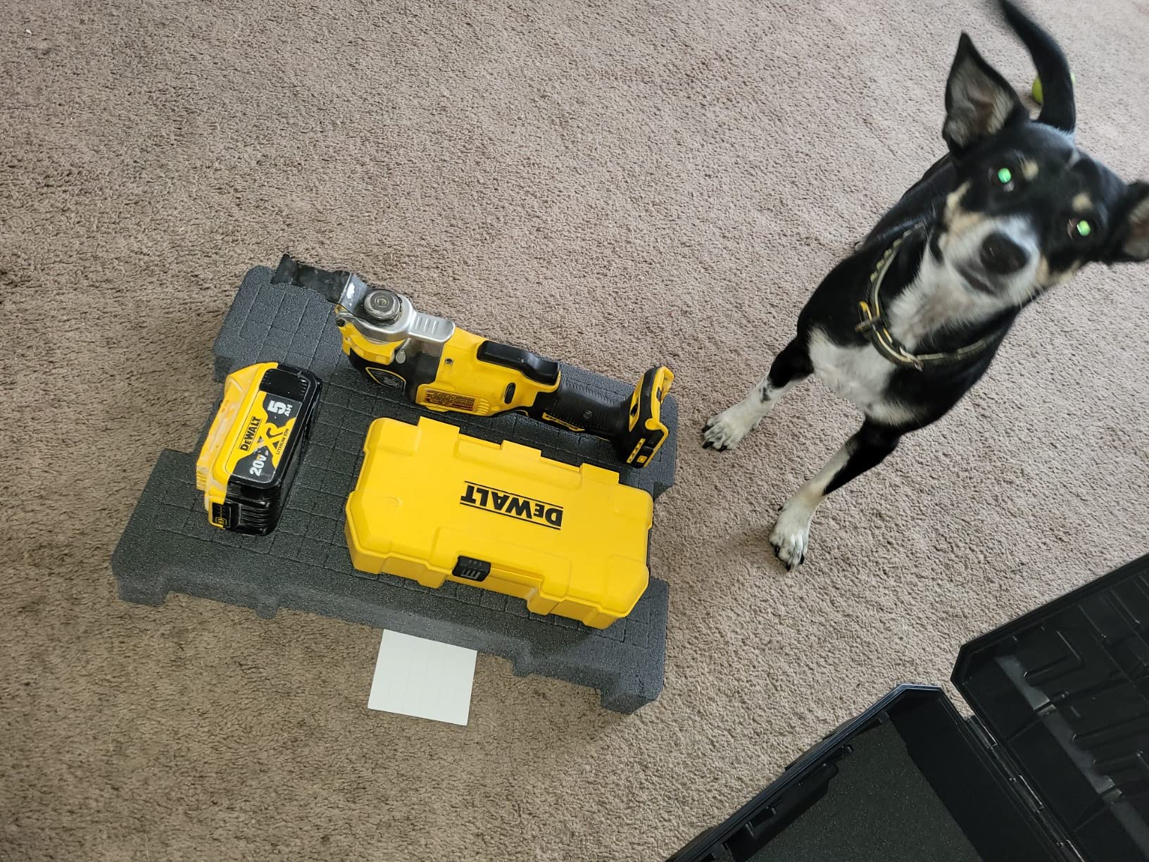 6/mo Finance DEWALT Tool Organizer Foam Insert (DWST88801) Buy Now, Pay Later