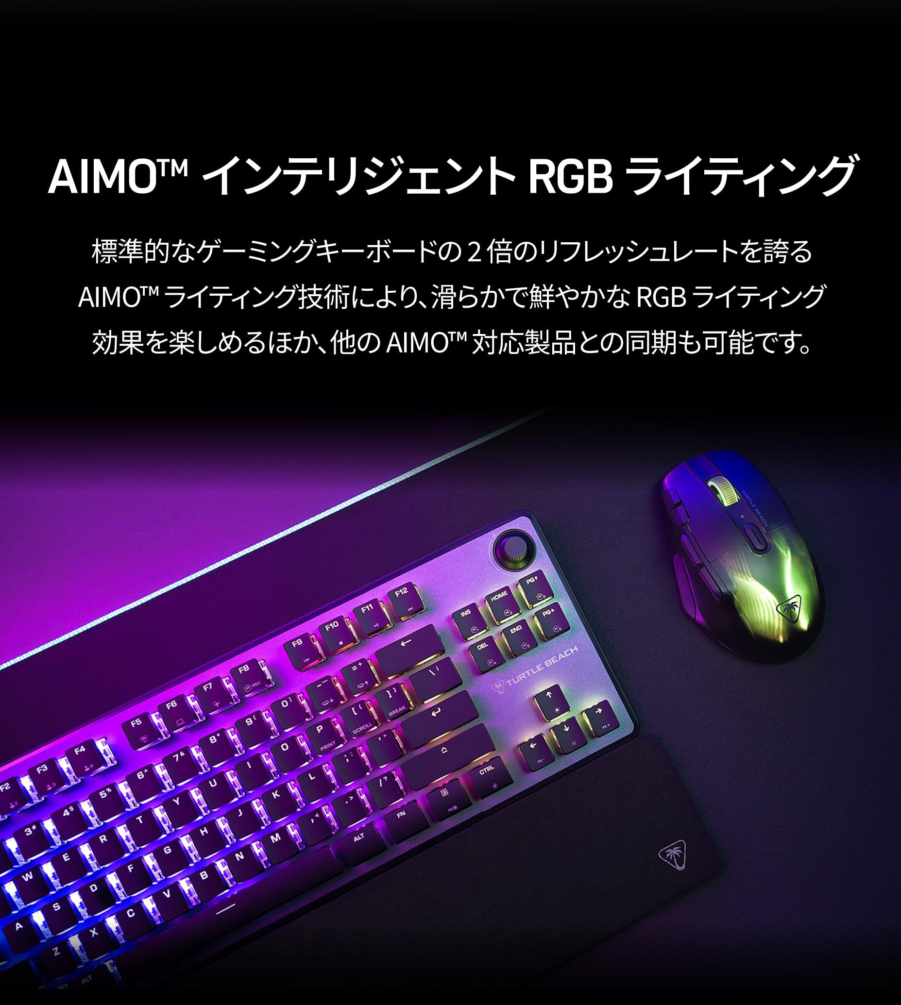 Amazon.co.jp: Turtle Beach(タートルビーチ): スロット2 Amazon.co.jp: Turtle Beach(タートルビーチ): スロット2