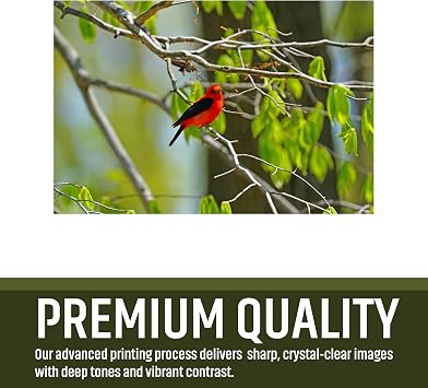Photo Prints 4x6 Premium Quality Matte or Glossy Finish Professional Photo Paper Ideal for Frames, Scrapbooks & Gifts Set of 10 Custom Prints