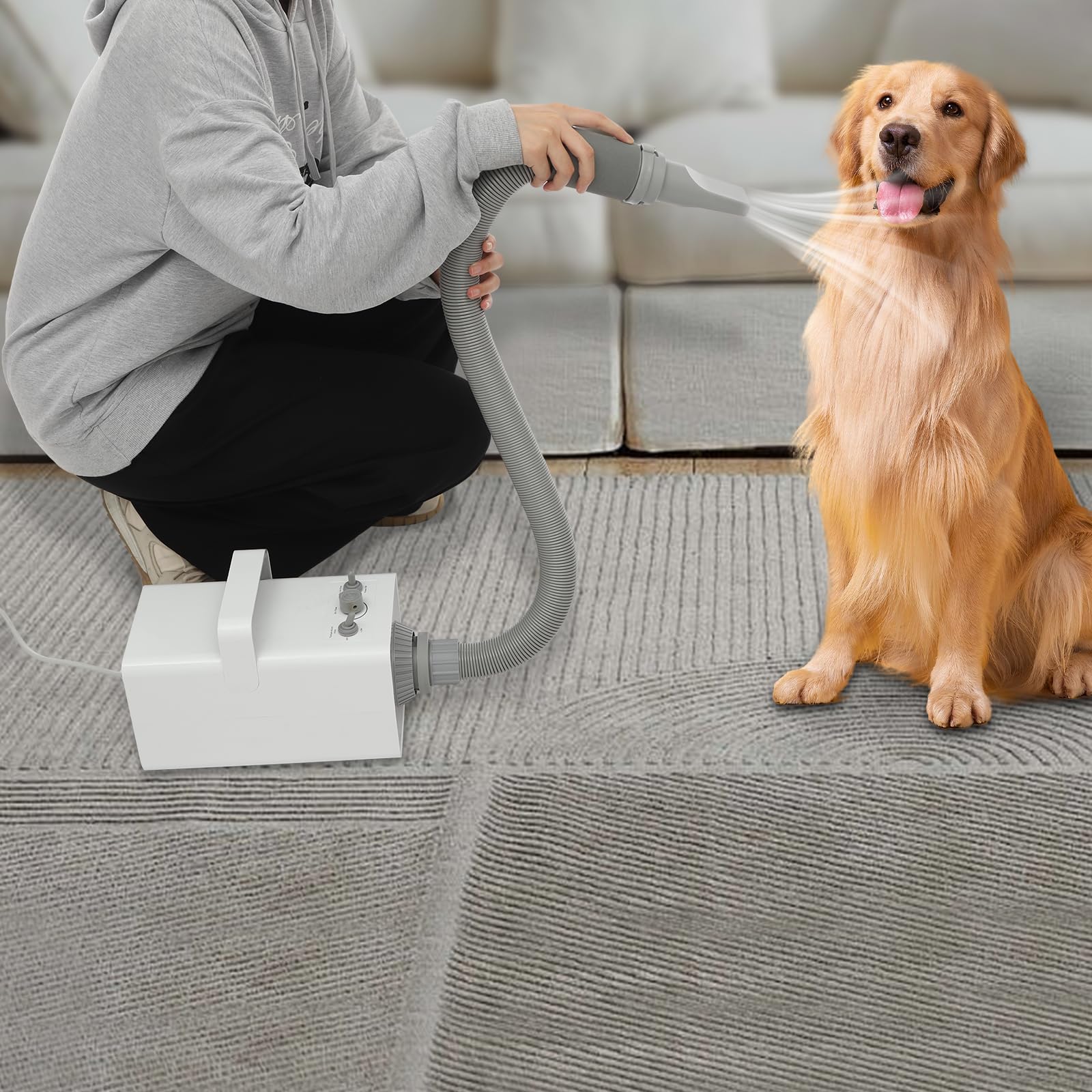 Asciugacapelli per cani, 2800 W, 57 dB, 68 m/s, silenzioso
