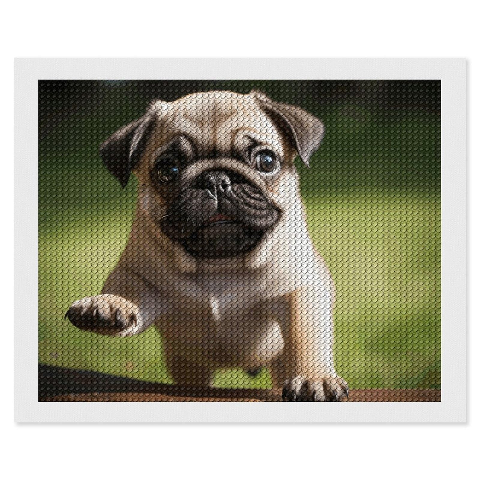 NONHAI Diamond Painting Kits for Adults - DIY Diamond Art Kits for Beginners - Full 5D Paint Drill Diamond Dots Paintings- Pug Puppies Diamonds Pictures Gem Art and Craft Wall Decor 16"x20"