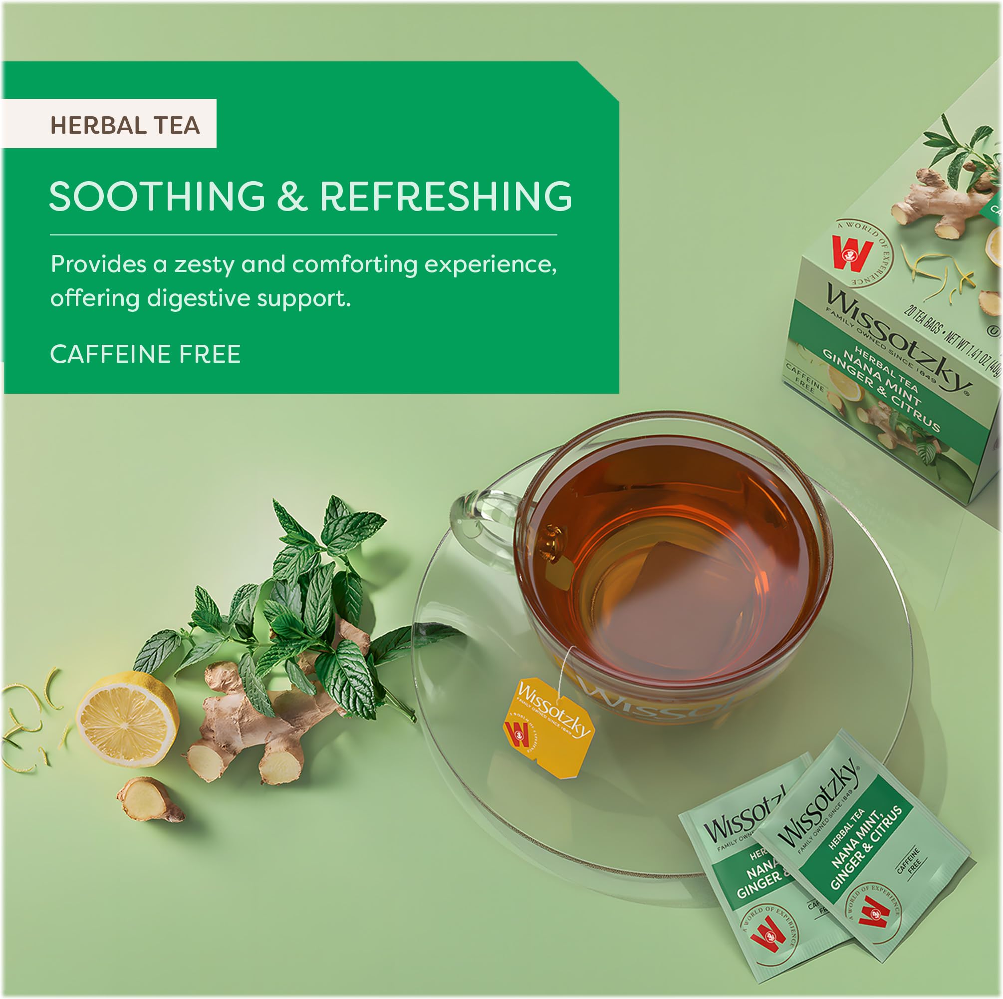 Amazon.com : Wissotzky Nana Mint Ginger & Citrus Herbal Tea, 20