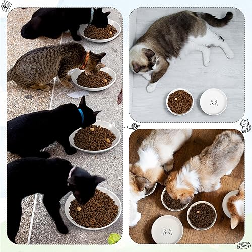 Miniatura 6 de 6 cuencos de cerámica para gatos, platos para gatos, antifatiga, plato de comida para gatos con parte inferior de silicona antideslizante, platos