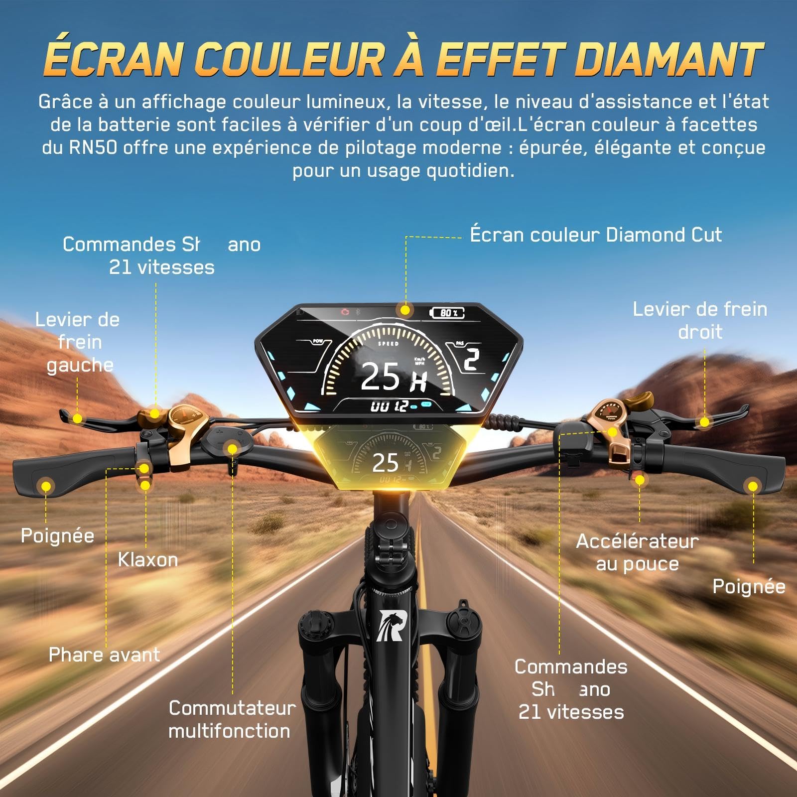 RINCC Velo Electrique Homme RN50-29,Vélo électrique Adulte 48V 15Ah Batterie avec 21 Vitesses avec Écran LCD,Autonomie jusqu'à 100 km,Moteur 250 W, Cadre en Alliage d'aluminium,Ville E-Bike