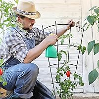Vista 3 de Paquete de 4 Enrejados de 32'' para Plantas de Interior para Plantas en Maceta Trepadoras Enrejado de Metal para Jardín Exterior Plantas de Casa