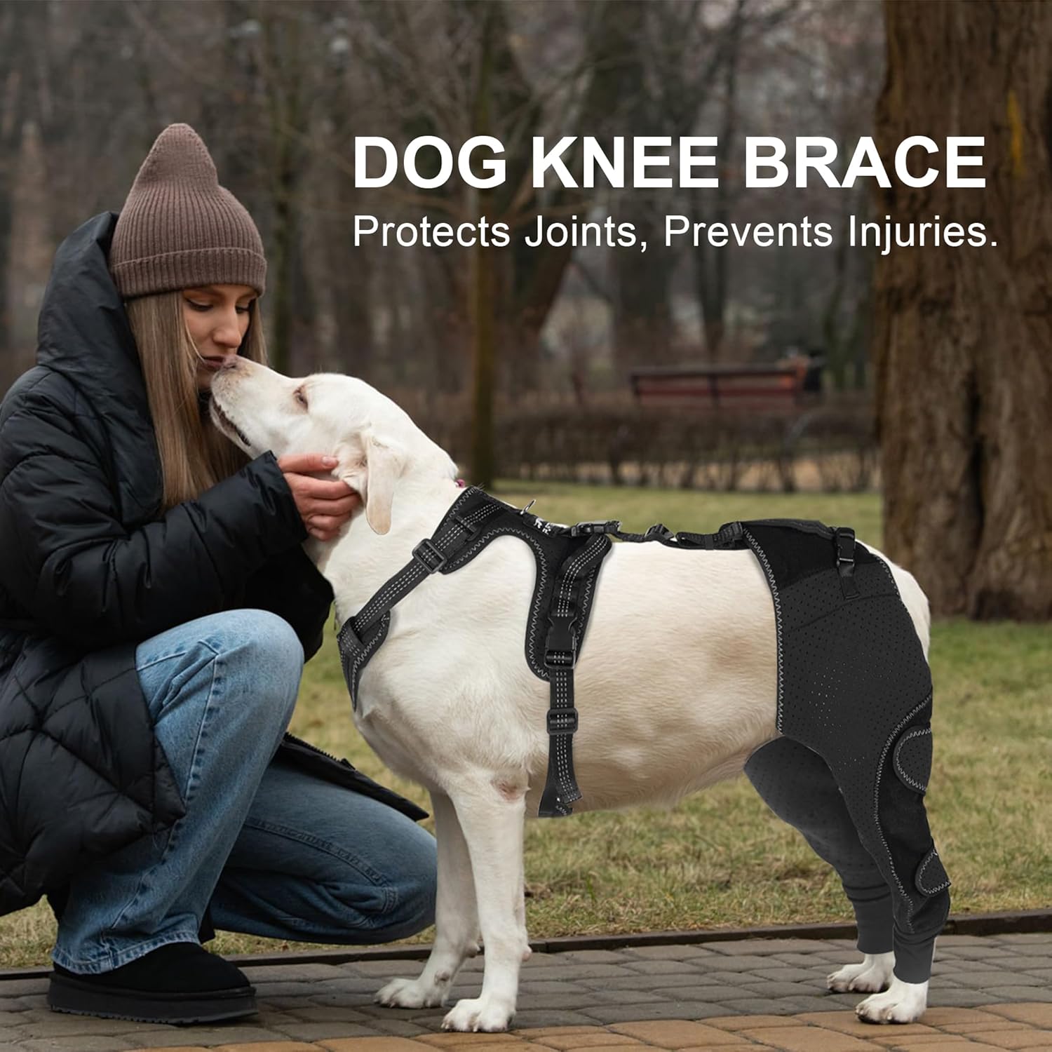 Dog Knee Brace for Torn ACL Hind Leg - Keeps Joints Warm and Stable, Dog Rear Leg Wrap Harness Set for Leg Wound Care Prevents Licking, Upgraded Adjustable Leg Support, L