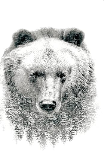 Trends International Póster de pared de oso - árboles, 22.375 x 34 pulgadas, versión sin marco