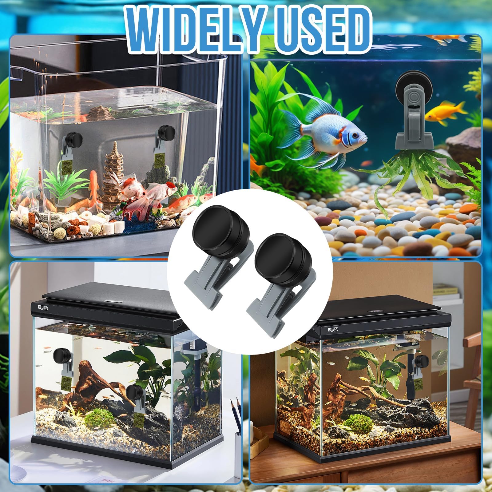 2 comederos para Peces de Colores, Accesorios para acuarios de Agua Salada, imán para Algas, Clips magnéticos para acuarios, Anillo de alimentación para peceras, Apto para Mascotas acuáticas