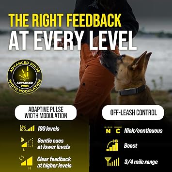 Dogtra ARC-X E-Collar for Dog Training - 3/4 Mile Range, for Dogs 15 lbs+, Slim Design, IPX9K Waterproof, 100 Stimulation Levels, Vibration, Tone, Rechargeable - Dog Owners and Professional Trainers