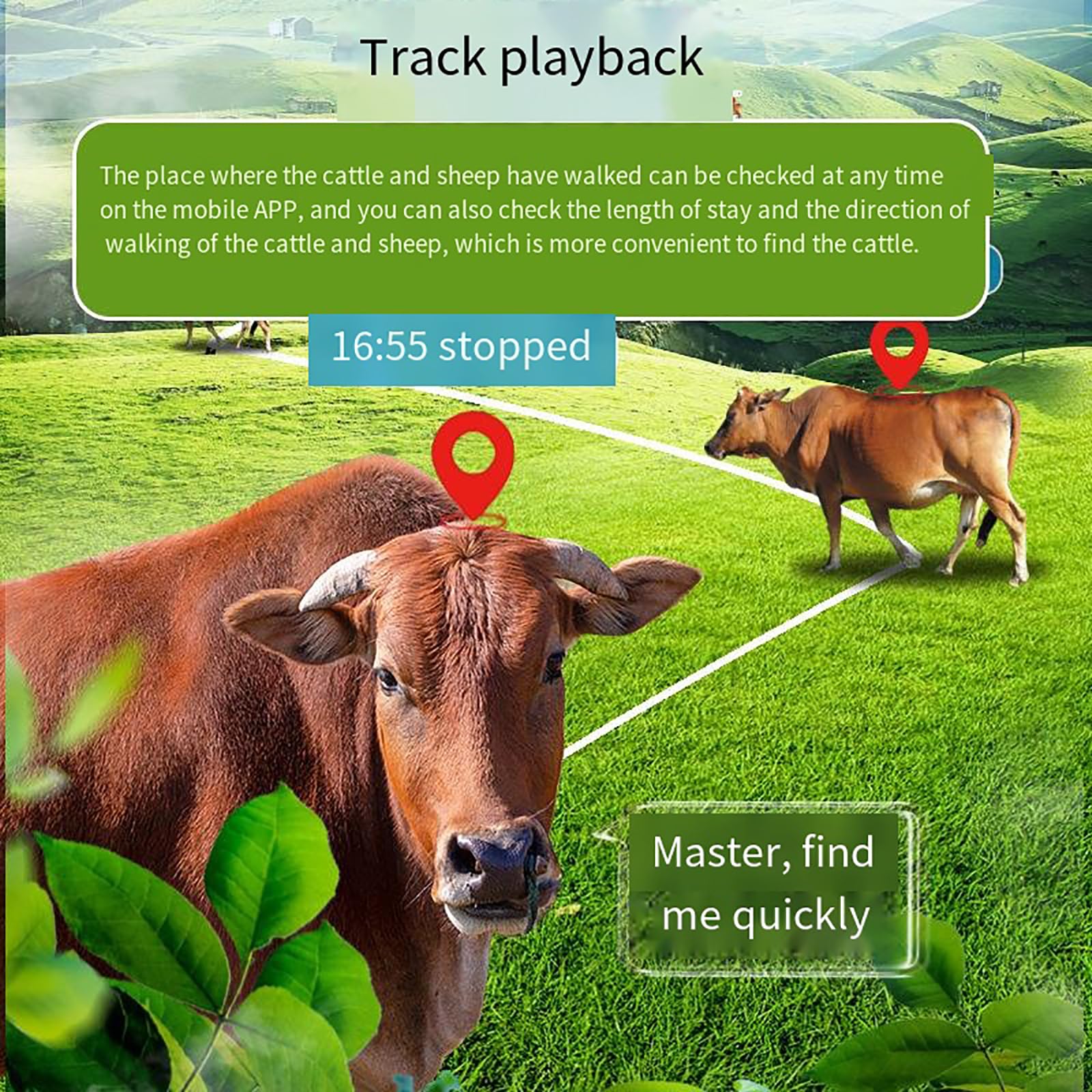 McbeAn Localizador GPS De Animales, Rastreador Solar De Mascotas, Posicionamiento En Tiempo Real, Seguimiento Histórico| Alarma Remota| Monitoreo Móvil| IP68 a Prueba De Agua, para Bovinos, Ovinos