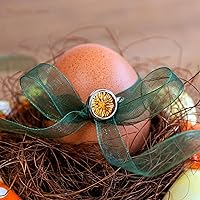 Vista 5 de MECCANIXITY Cinta de Organza Transparente con Alambre Brillante de 2 3/8" de Ancho, Cintas de Gasa Iridiscente Pastel de 3 Yardas Color Beige