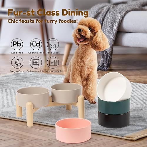 Miniatura 5 de Juego de cuencos elevados de cerámica para perros, juego de cuencos elevados para alimentos y agua, cuencos dobles para perros con soporte Negro