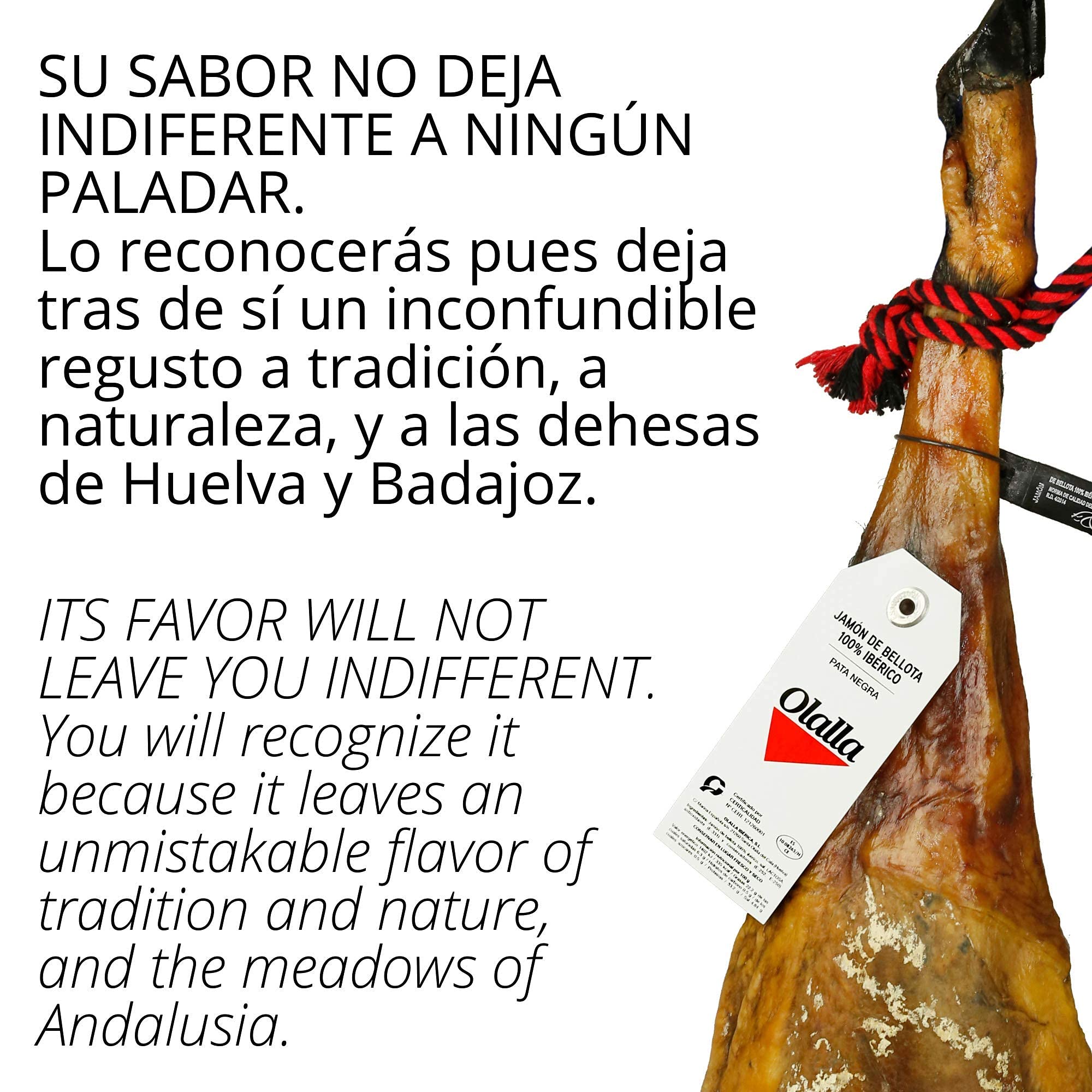 Pezzo Completo (7,5-8 kg) prosciutto crudo spagnolo - Prosciutto Iberico de bellota 100% Riserva Pata Negra - Salsicce Iberiche Patanegra de bellota