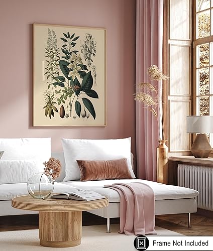 Miniatura 240 de Poster Master Póster vintage de orquídea, estampado de flores retro, arte de pared de plantas exóticas, arte botánico, regalo para hombres y