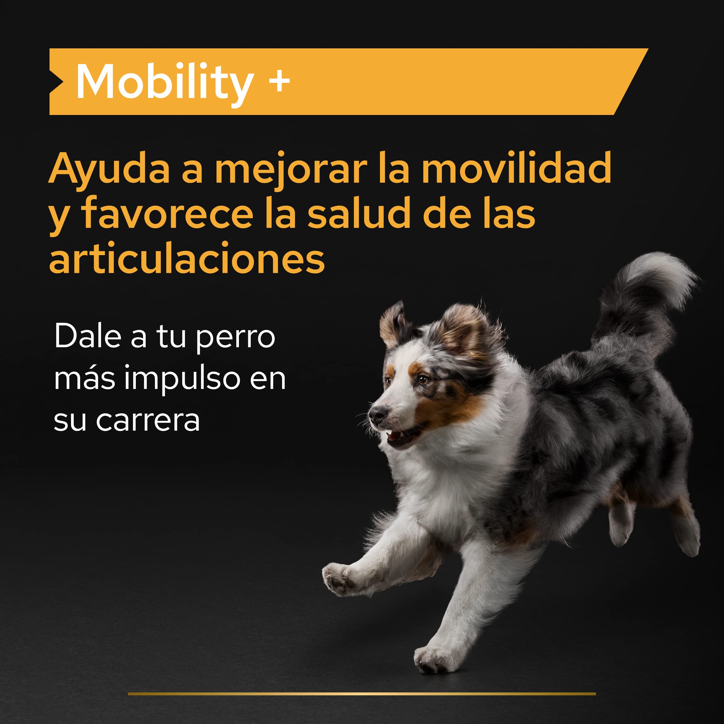 Pro Plan Suplemento Perro movilidad articular en polvo 60 g