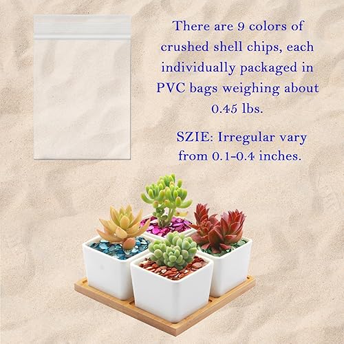 Miniatura 4 de Tilingview Conchas naturales trituradas para manualidades, virutas de madreperla de naturaleza irregular para bricolaje, decoración del hogar